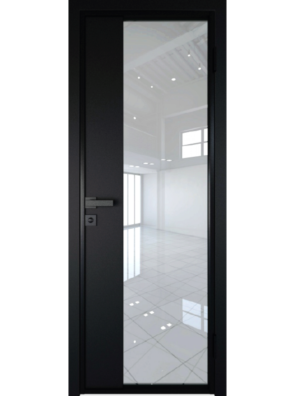 Черные двери со стеклом. Профиль Дорс AG. Профиль Дорс алюминиевые двери. Двери профиль Дорс стеклянные.